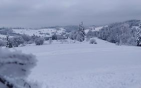 Agroturystyka ,Jarzębina'